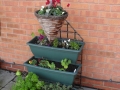 buddi-and-flower-baskets