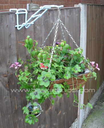 Fence Buddi hanging basket hangers